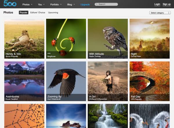 Image used to describe photo editing software. 
